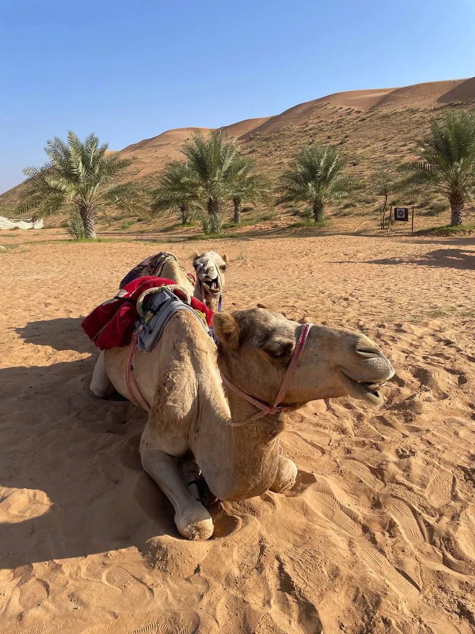 Swingers Dubai Crazy Golf Experience