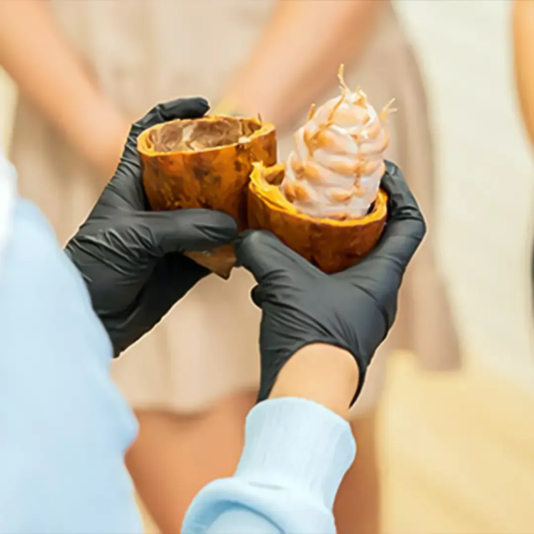 Best Chocolate Making Class Dubai Experience