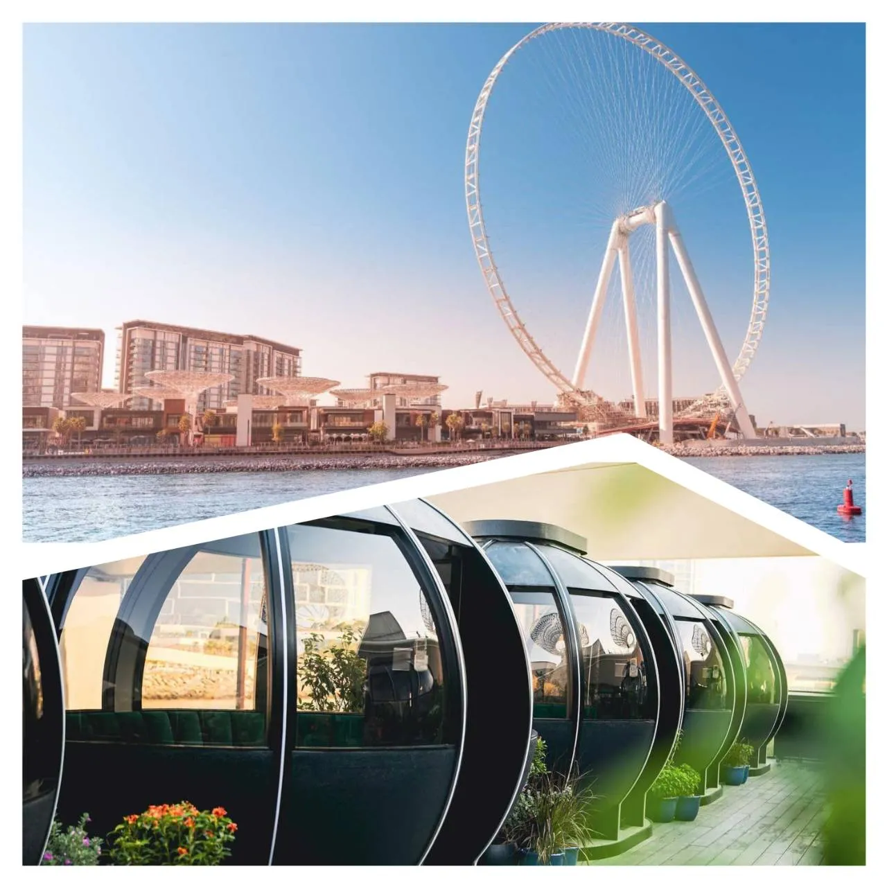 Ain Dubai Discovery with The Pods Dining Experience